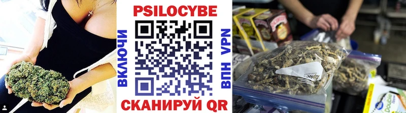 Псилоцибиновые грибы Psilocybine cubensis  Тамбов 